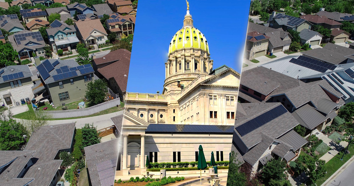 Policy makers target the ‘free money’ type of domestic currency