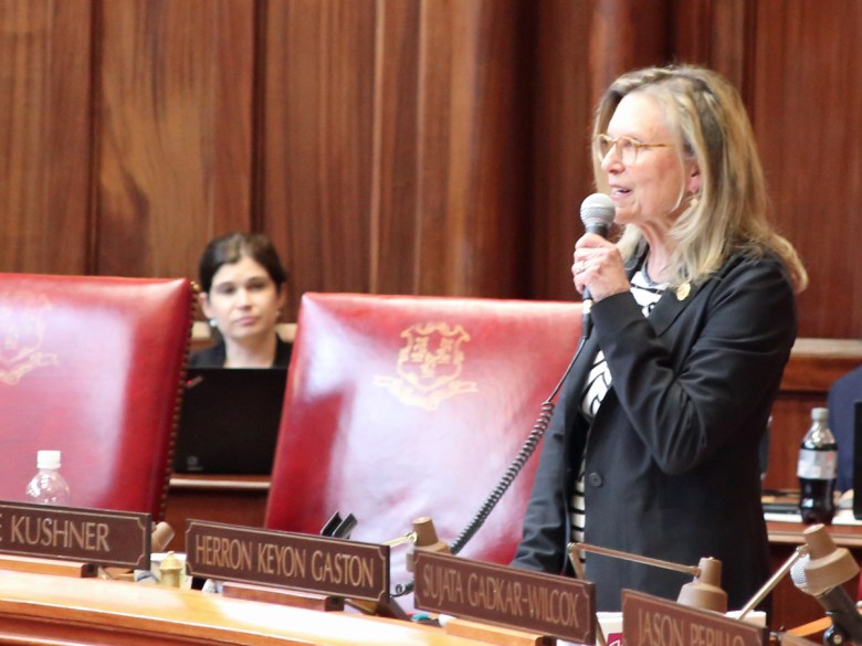A woman speaks in the Senate